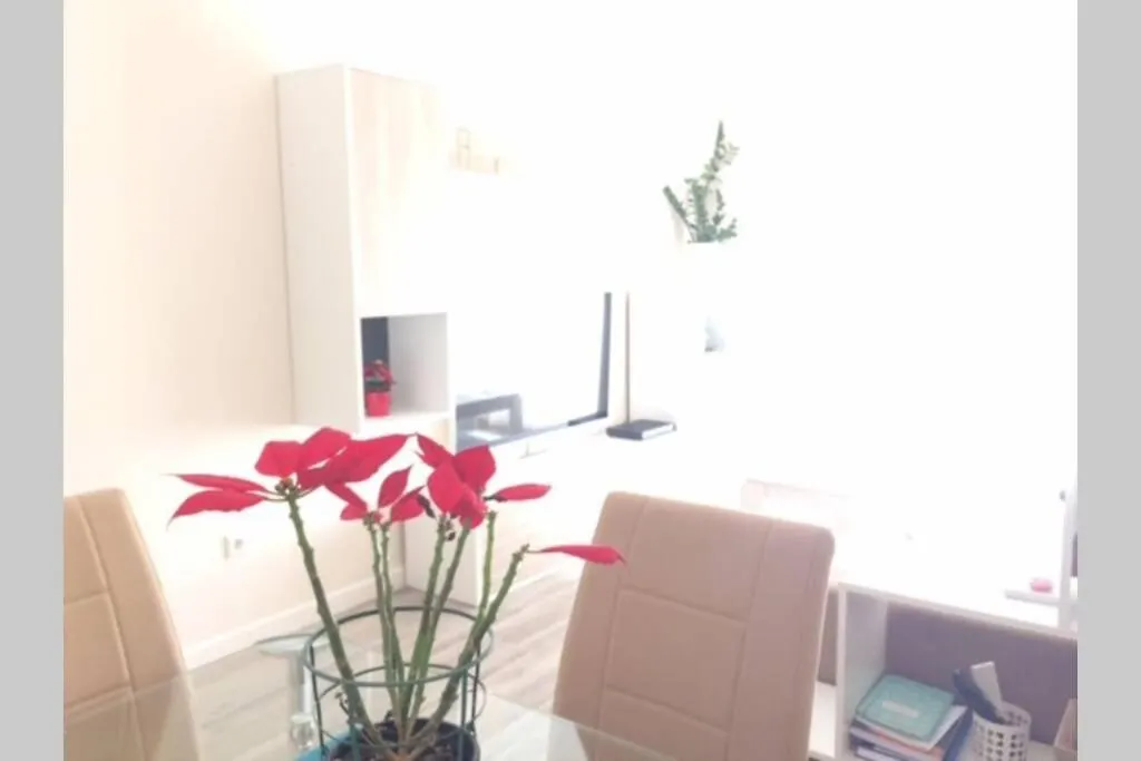 Precioso Piso Costa Cadiz Apartment San Fernando 0*,